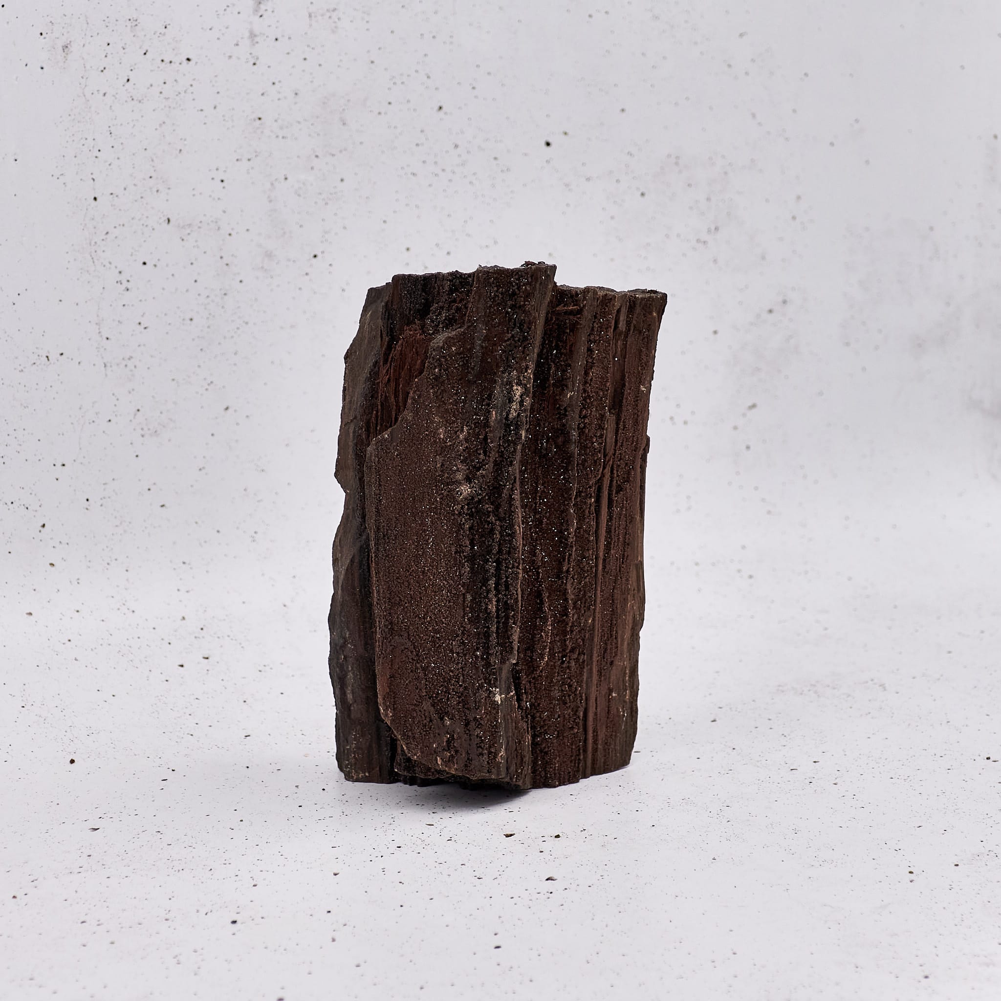Crystallized Wood - Special #074
