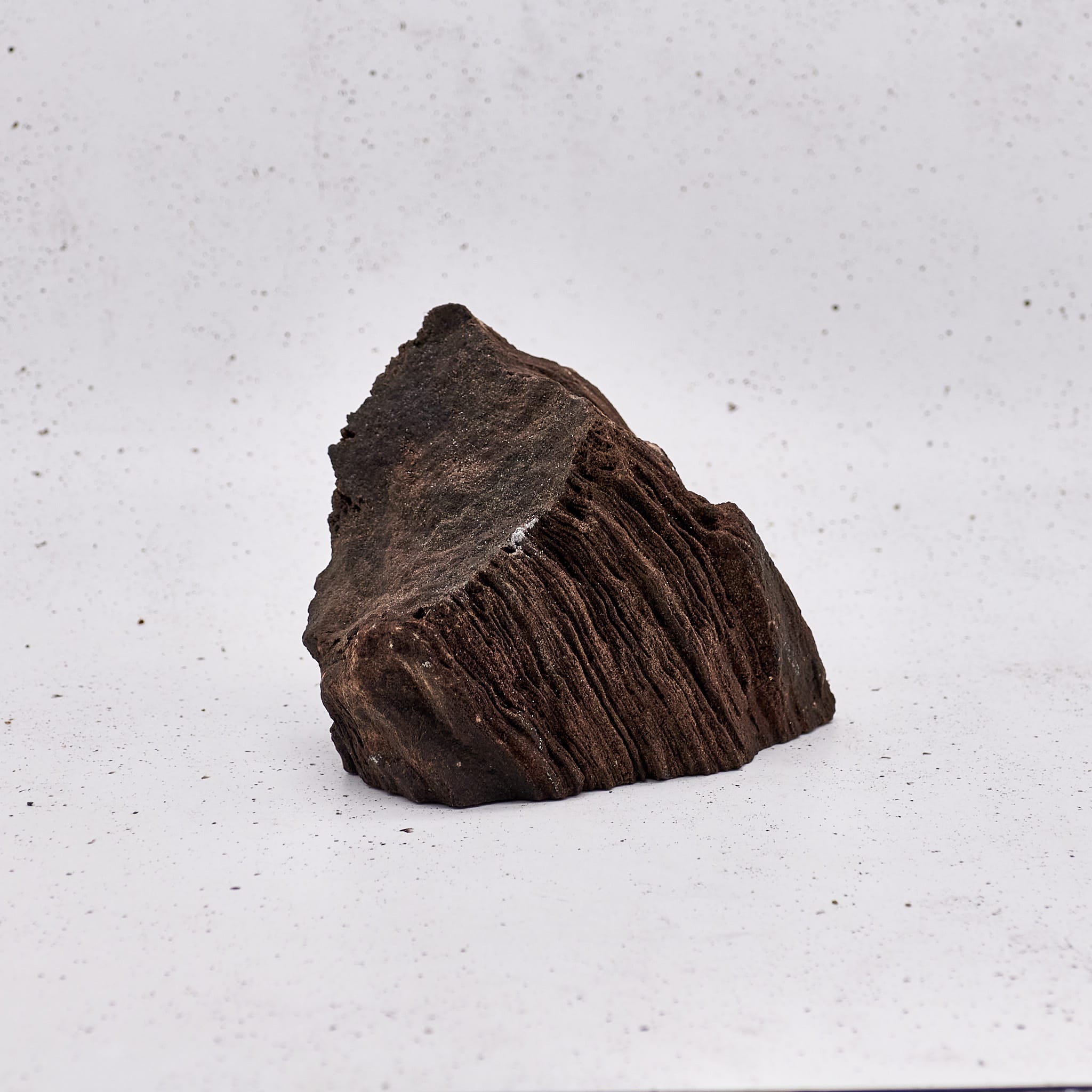 Crystallized Wood - Special #077
